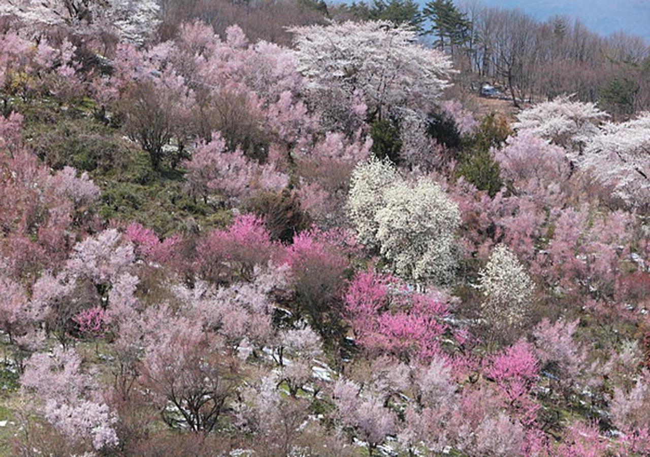 土湯温泉 やすらぎの宿 向瀧旅館 Fukushima  Eksteriør billede